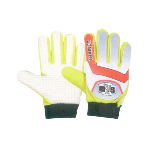 TRAINER-Art-MS-3253